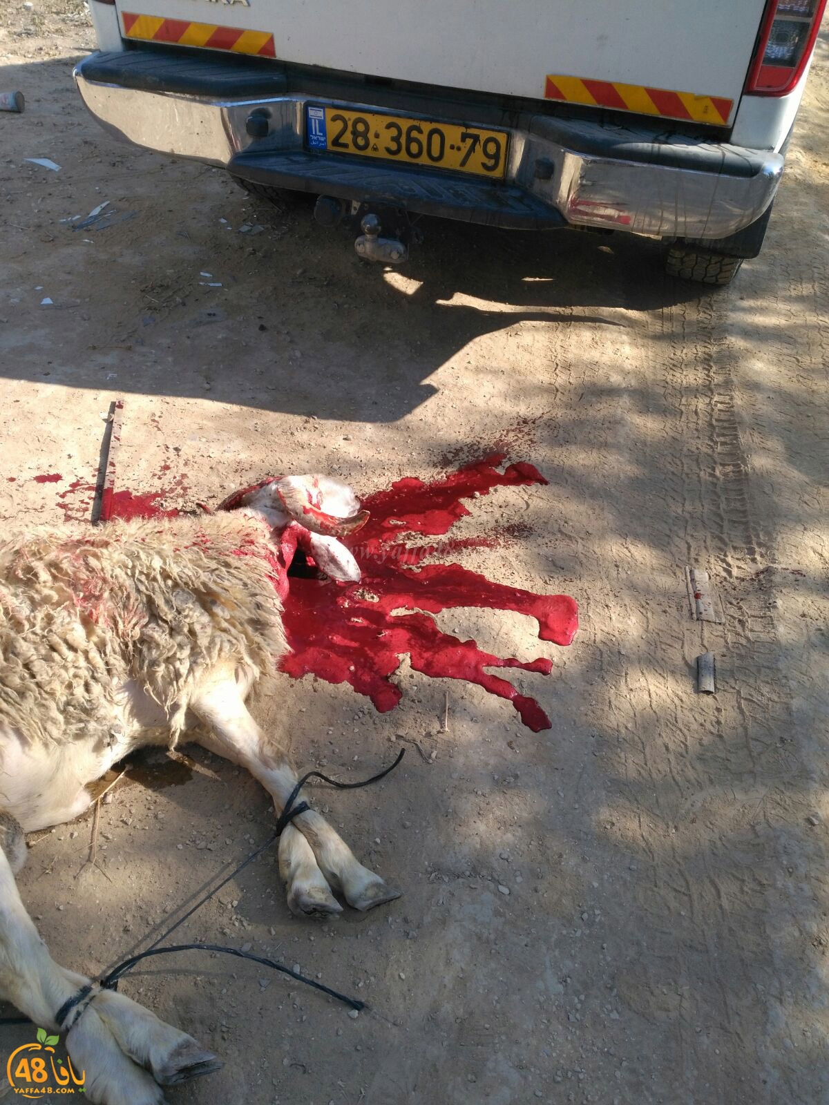 dab7 ada7y wu3ed (11).jpg